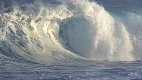 Large ocean wave crashing with white spray