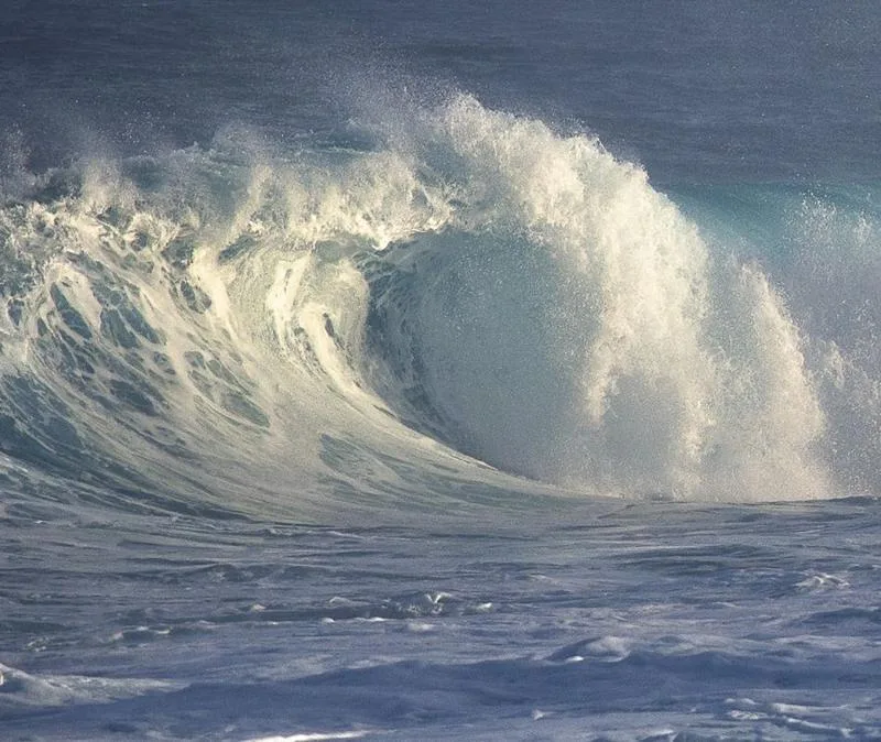 Large ocean wave crashing with white spray