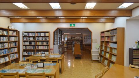 Shelves of books in a library