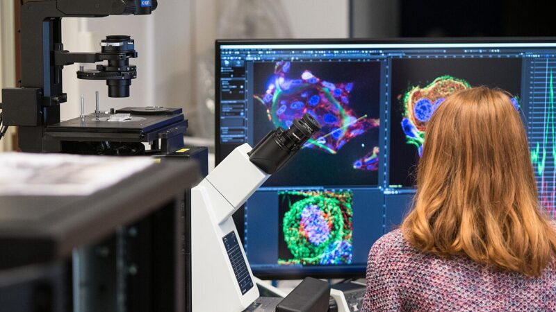 A researcher using a microscope in a laboratory
