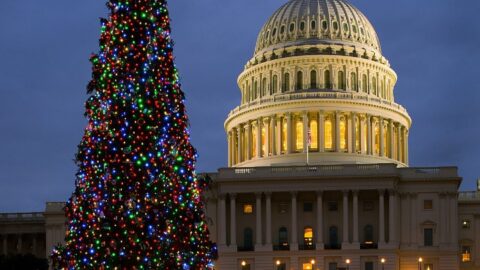 The US Capitol dome in the evening
