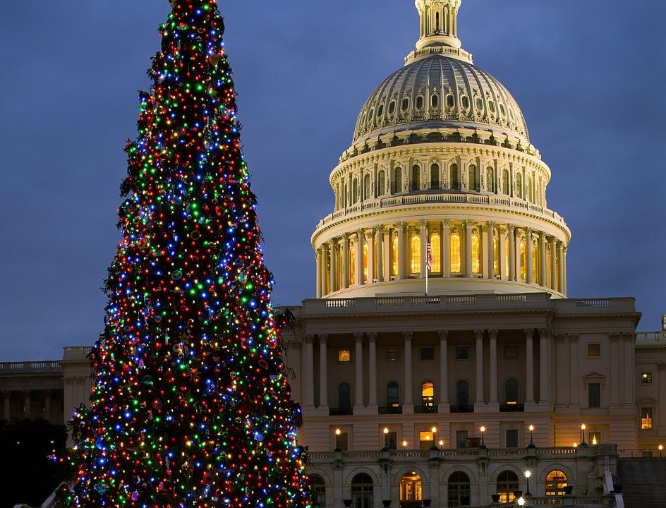 The US Capitol dome in the evening