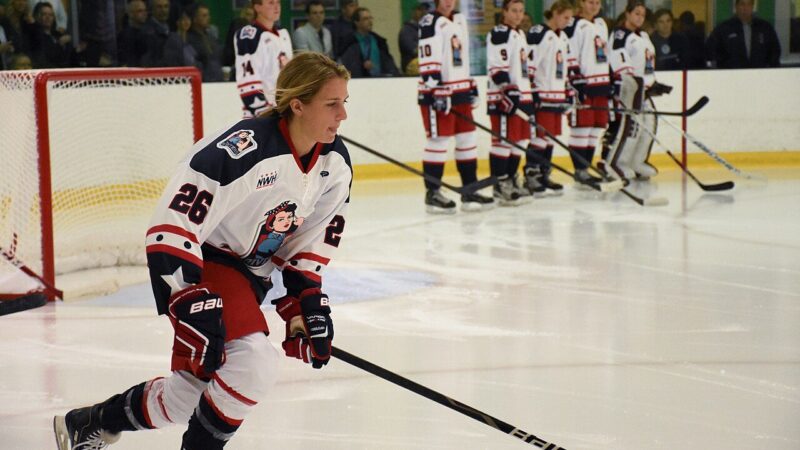 An ice hockey player on the ice