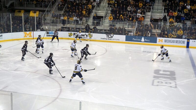 Ice hockey players in action on the rink